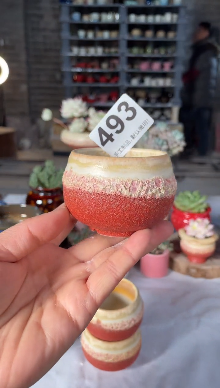 瓷片493小芳直播编号