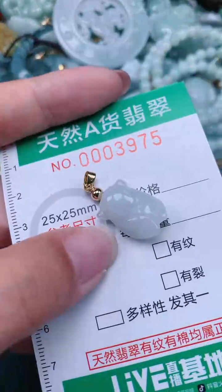 翡翠未镶嵌颈饰.0003975