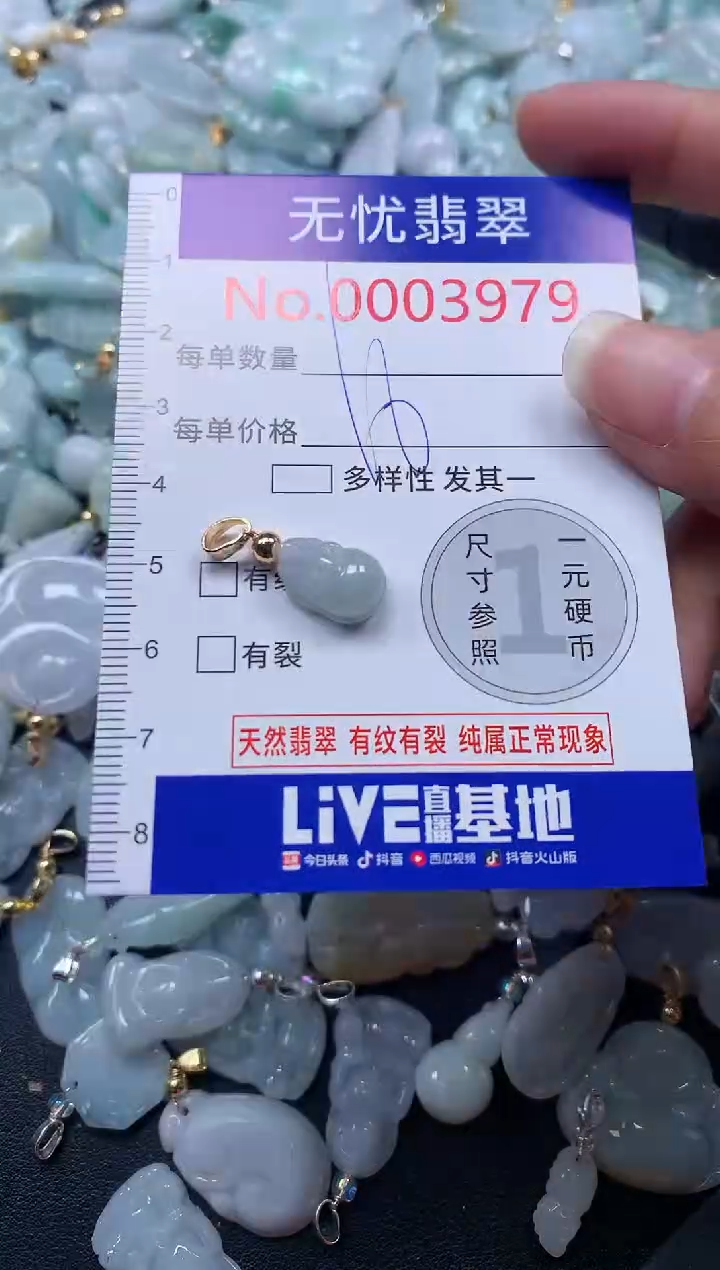 颈饰未镶嵌翡翠3979