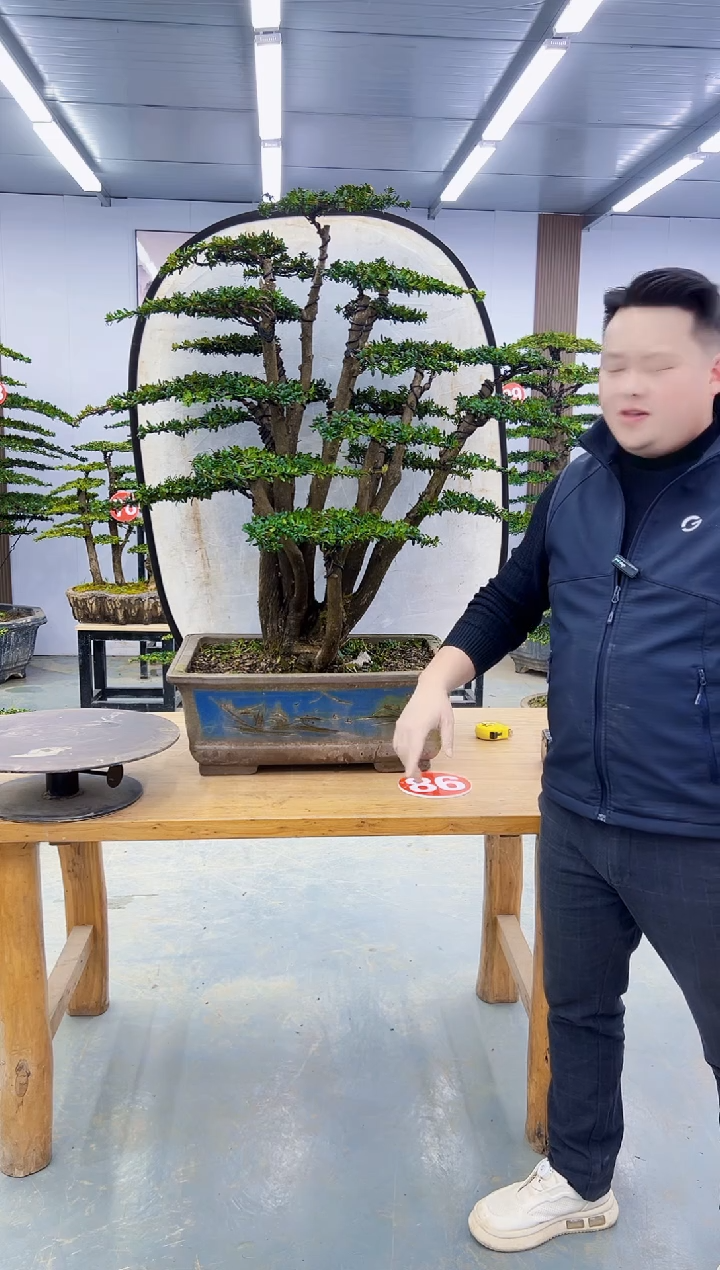 以实际为准极**味00000000000