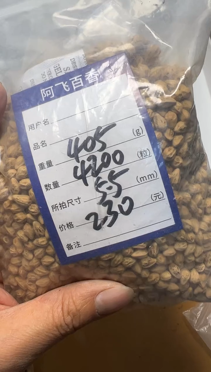 【闪购商品】柏香籽/百香籽吊坠230
