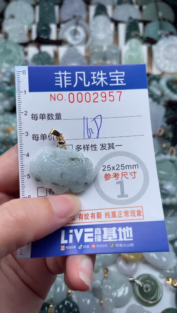 翡翠未镶嵌颈饰00..2957