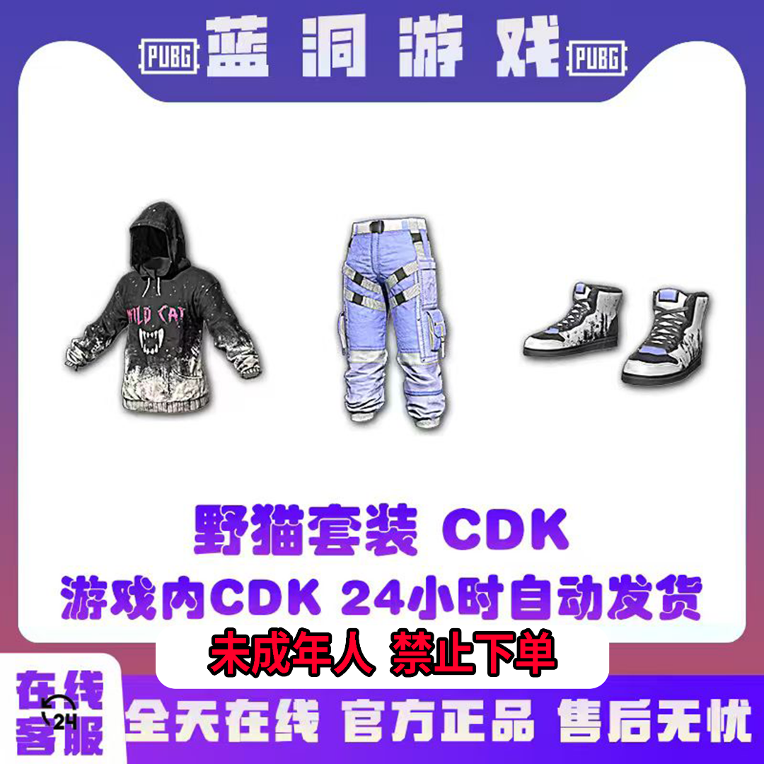 PUBG绝地求生野猫套装官方WILDCATSET激活码CDK兑换码