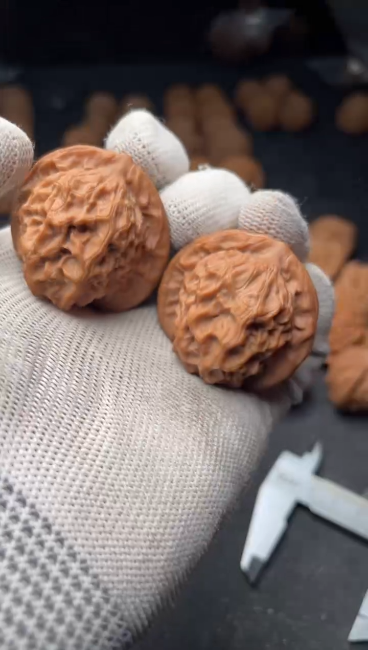 核桃a220    瓷娃娃    36尺