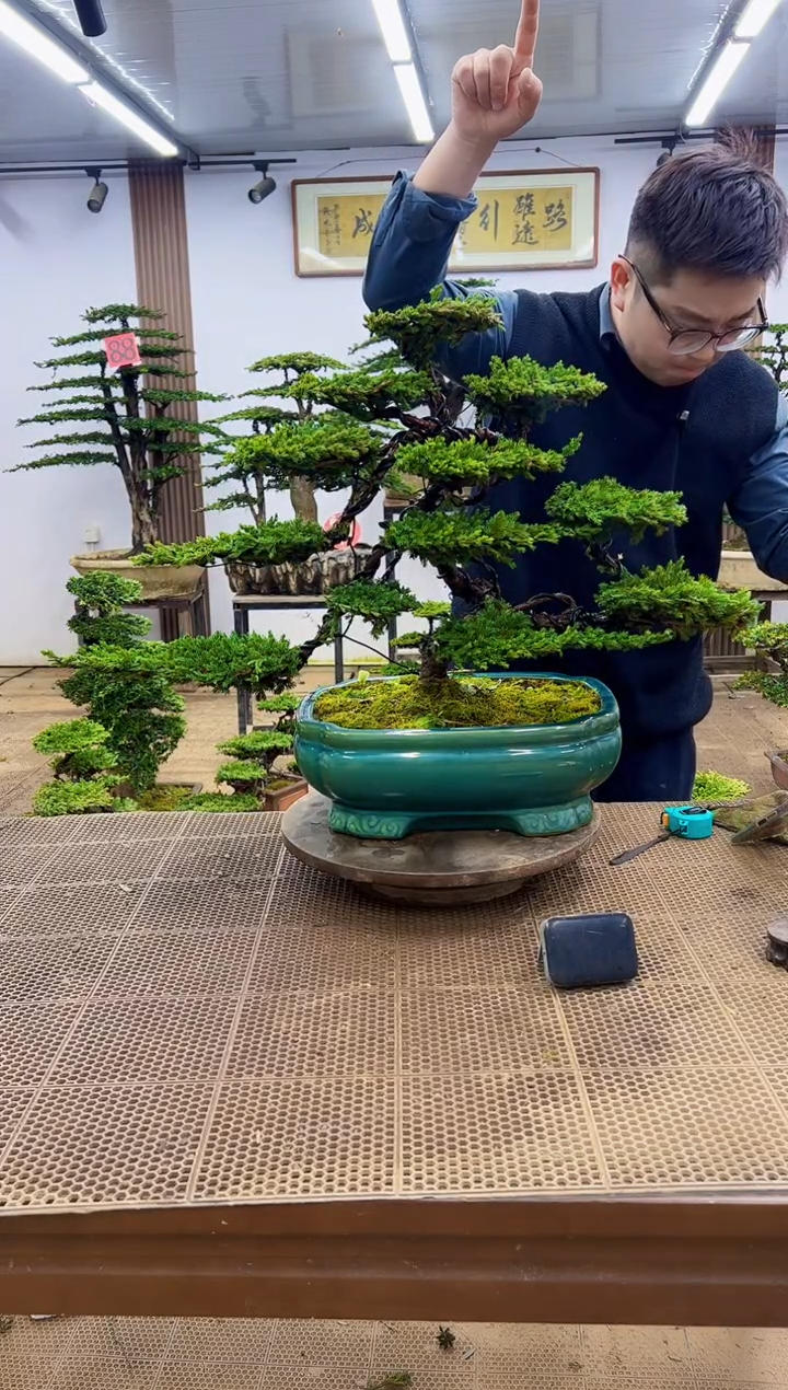 无花朵平*0000000000000