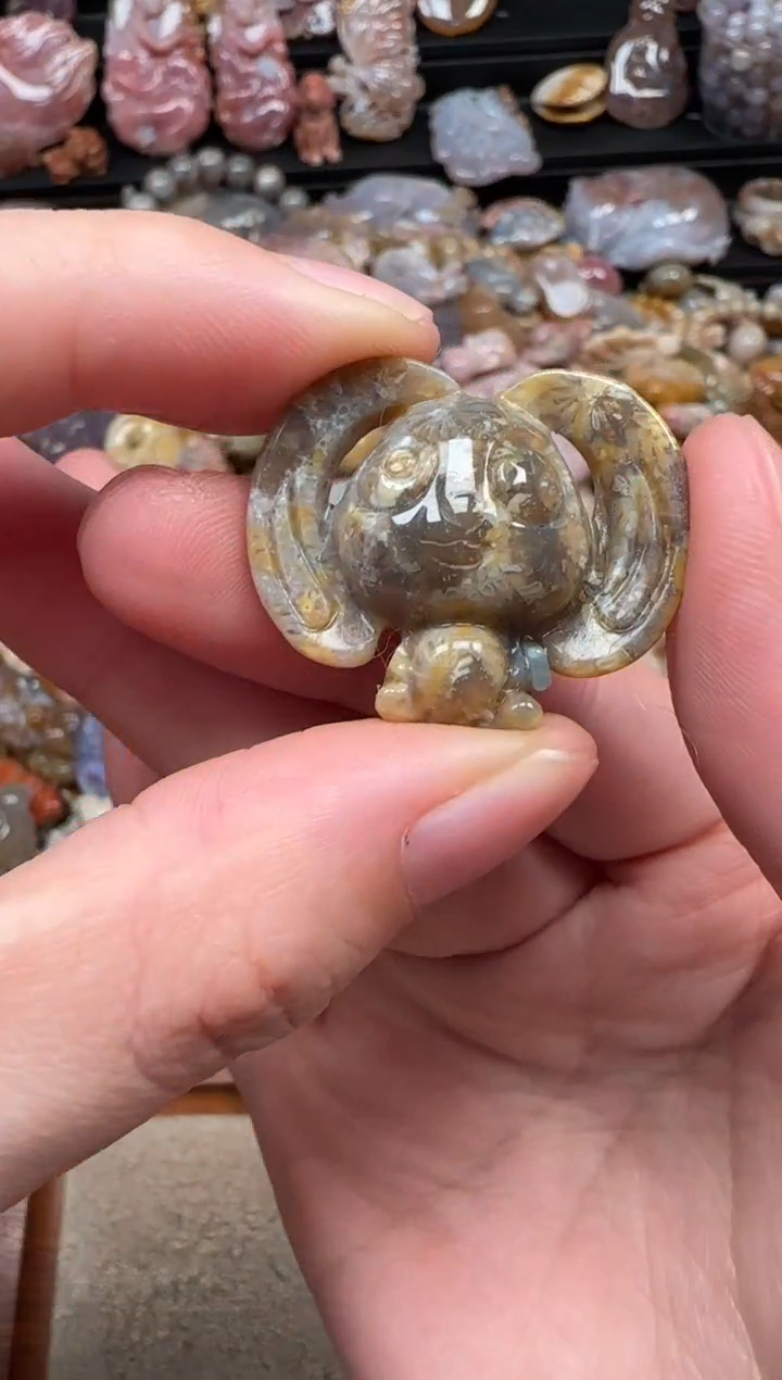 颈饰未镶嵌硅化珊瑚（珊瑚玉）827