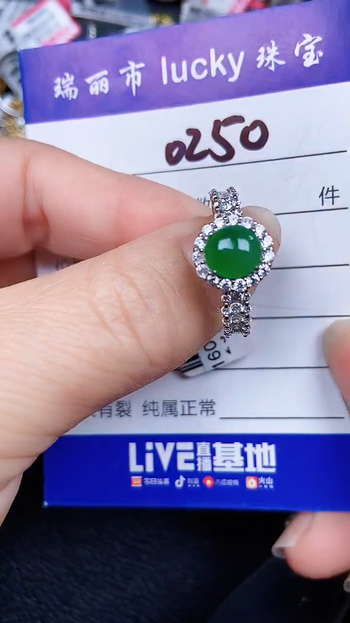 颈饰银S925镶嵌翡翠0250
