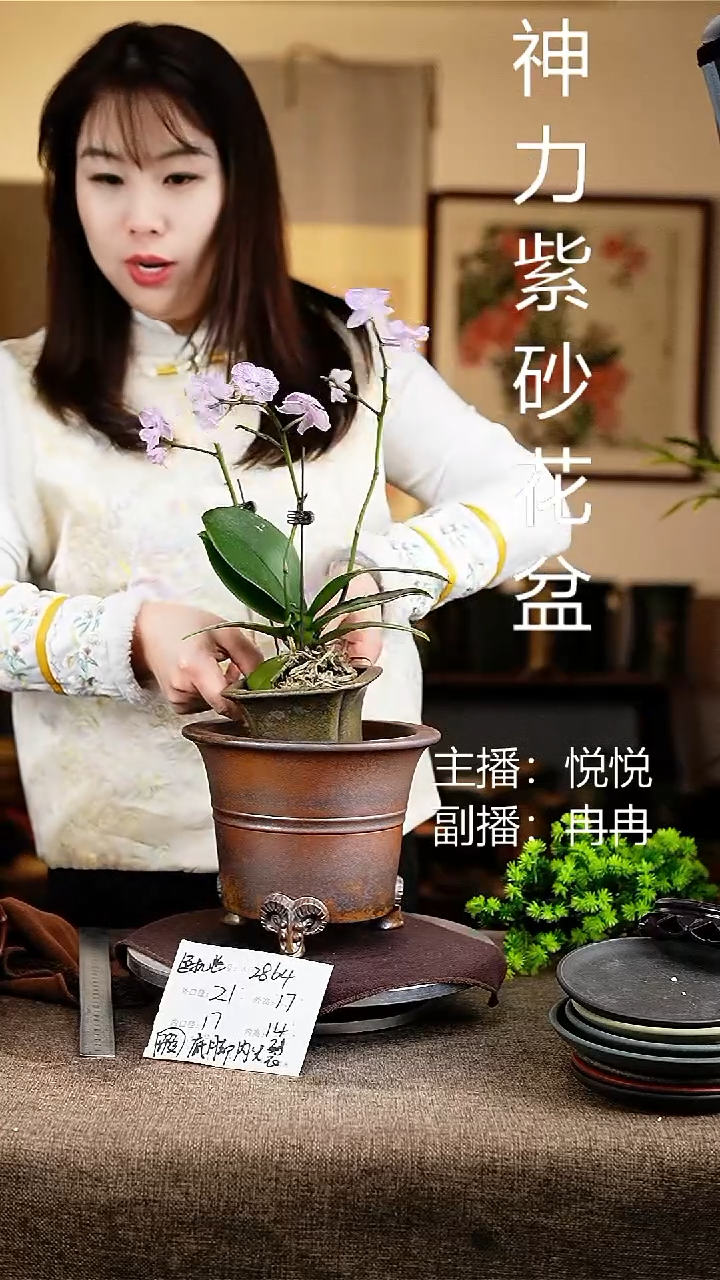 紫砂花盆花卉工艺2864