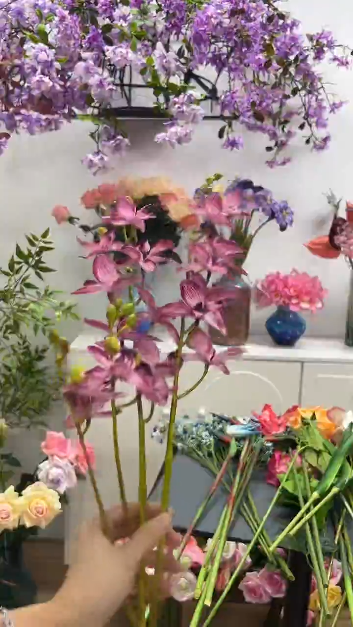 2枝酒红色手感保湿千鸟兰