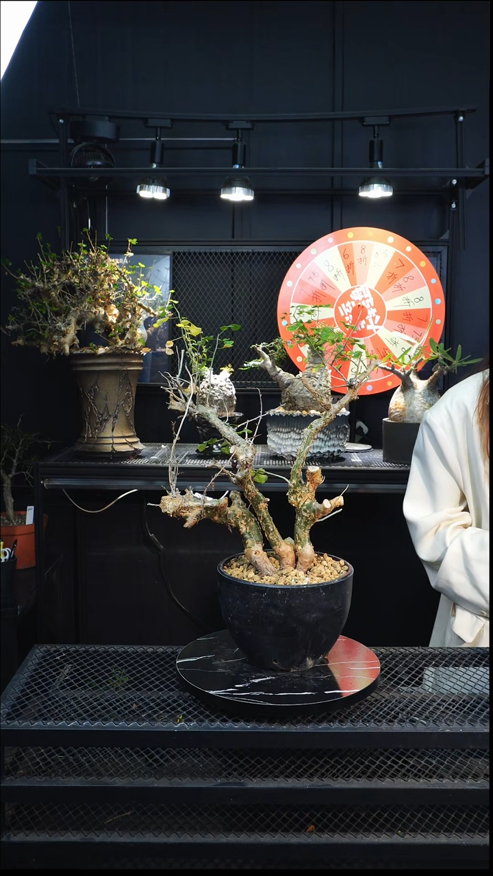 卡卡1111111111111111