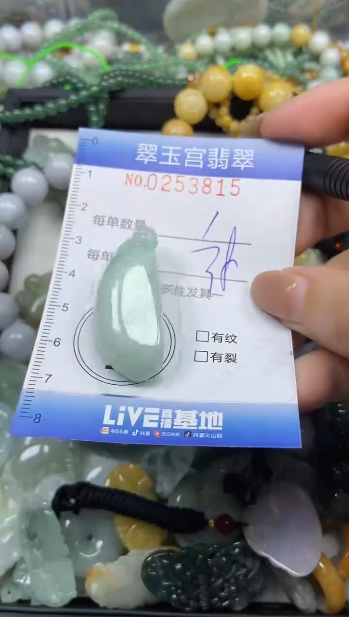 颈饰未镶嵌翡翠闪购C0253815