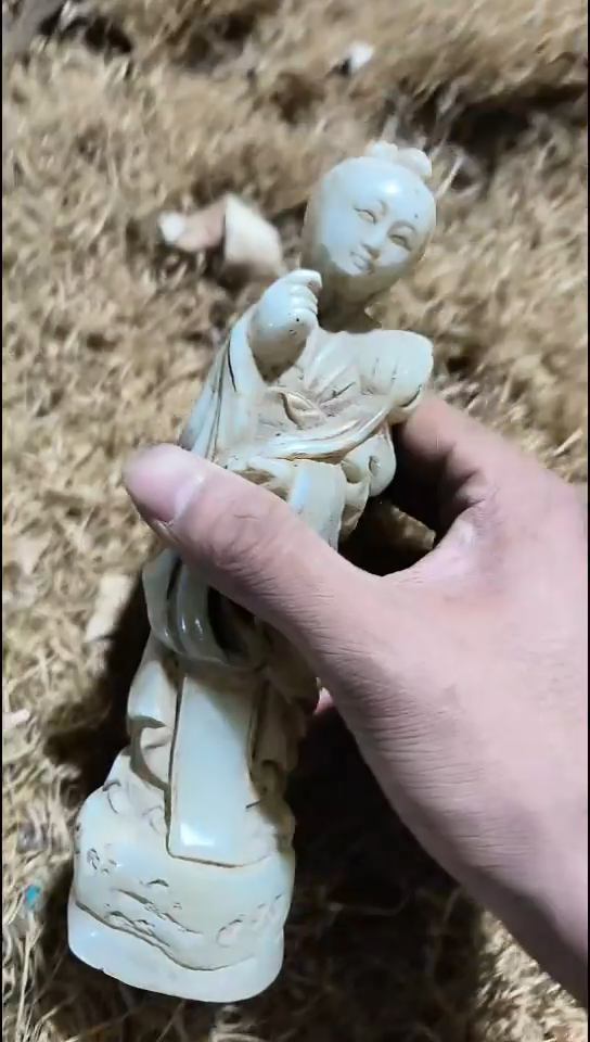 香榧木（1个小复利）