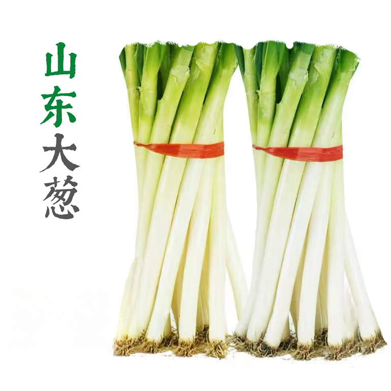 【金牌店铺】新鲜山东铁杆潍坊大葱去皮去叶当天挖当天发