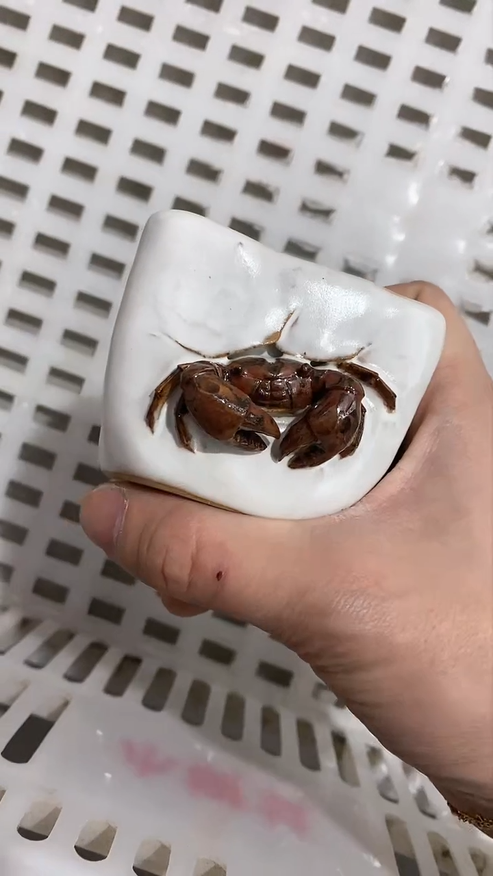 【闪购商品】瓷片陶瓷茶器孤品63