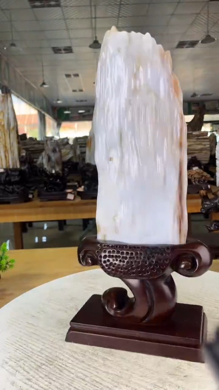 未镶嵌珠宝奇石硅化玉428