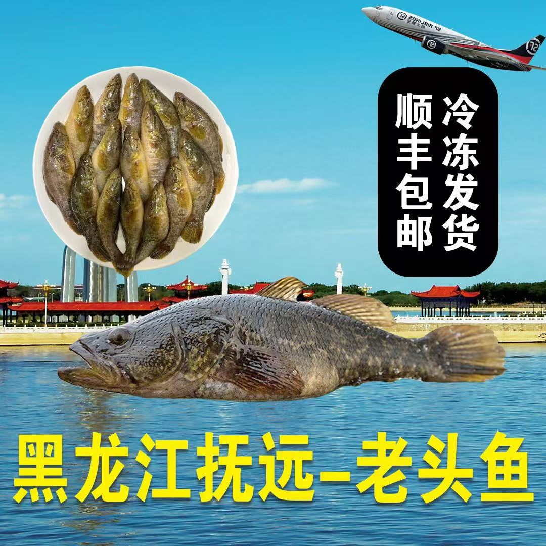 黑龙江抚远俄罗斯速冻大号老头鱼（顺丰包邮）