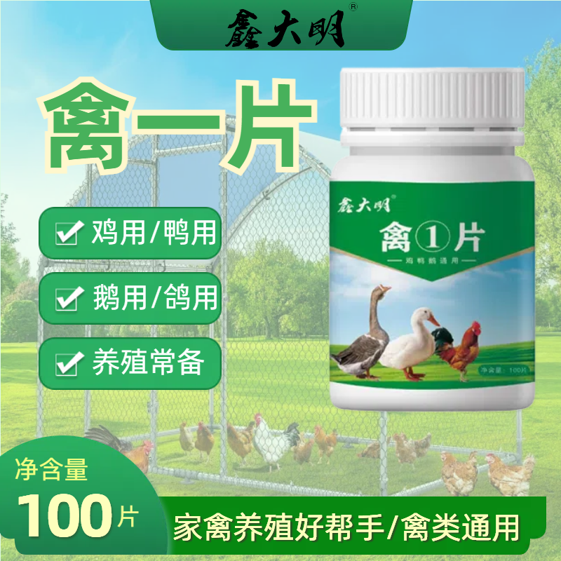 禽一片厂家直销正品禽类养殖鸡鸭鹅通用使用产品