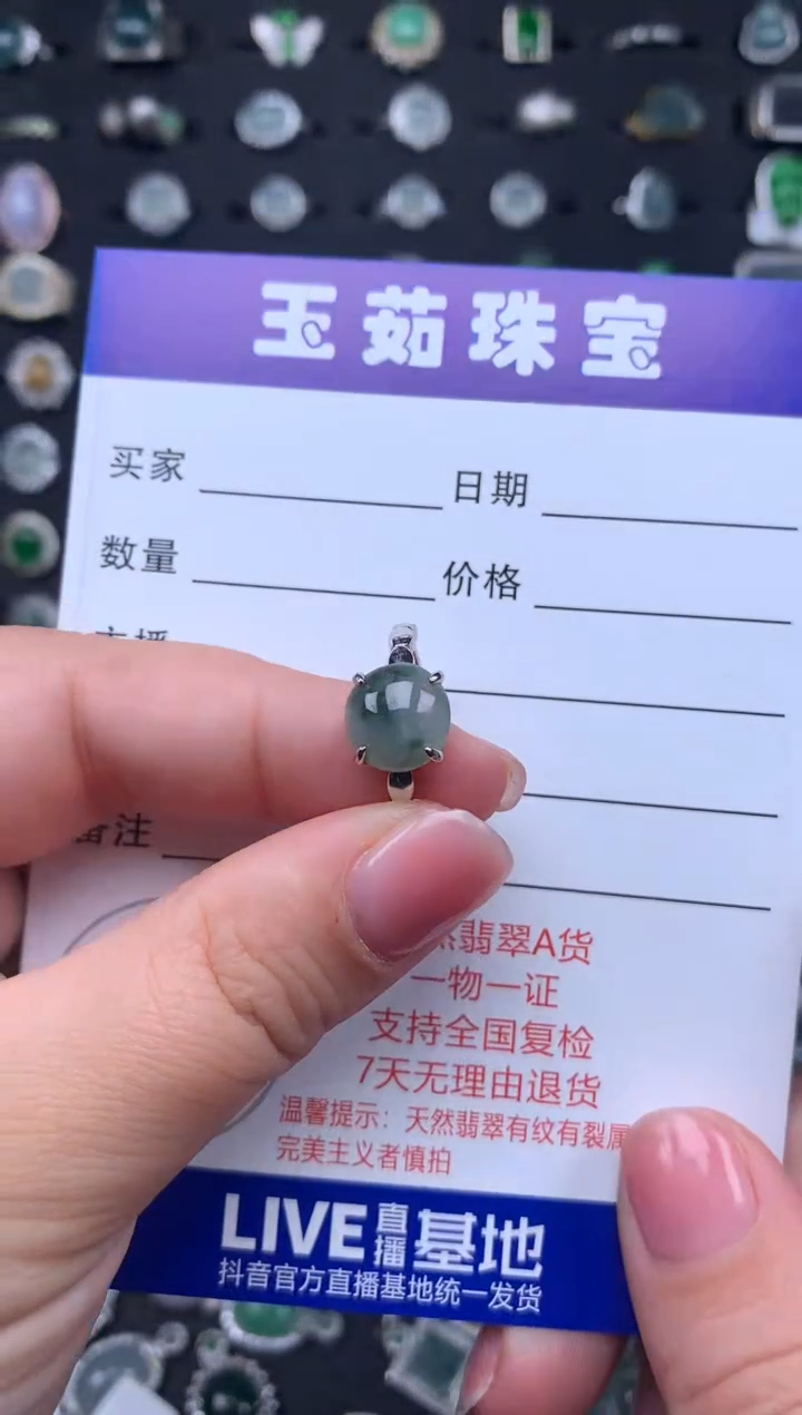 【闪购商品】翡翠颈饰银S925镶嵌345345
