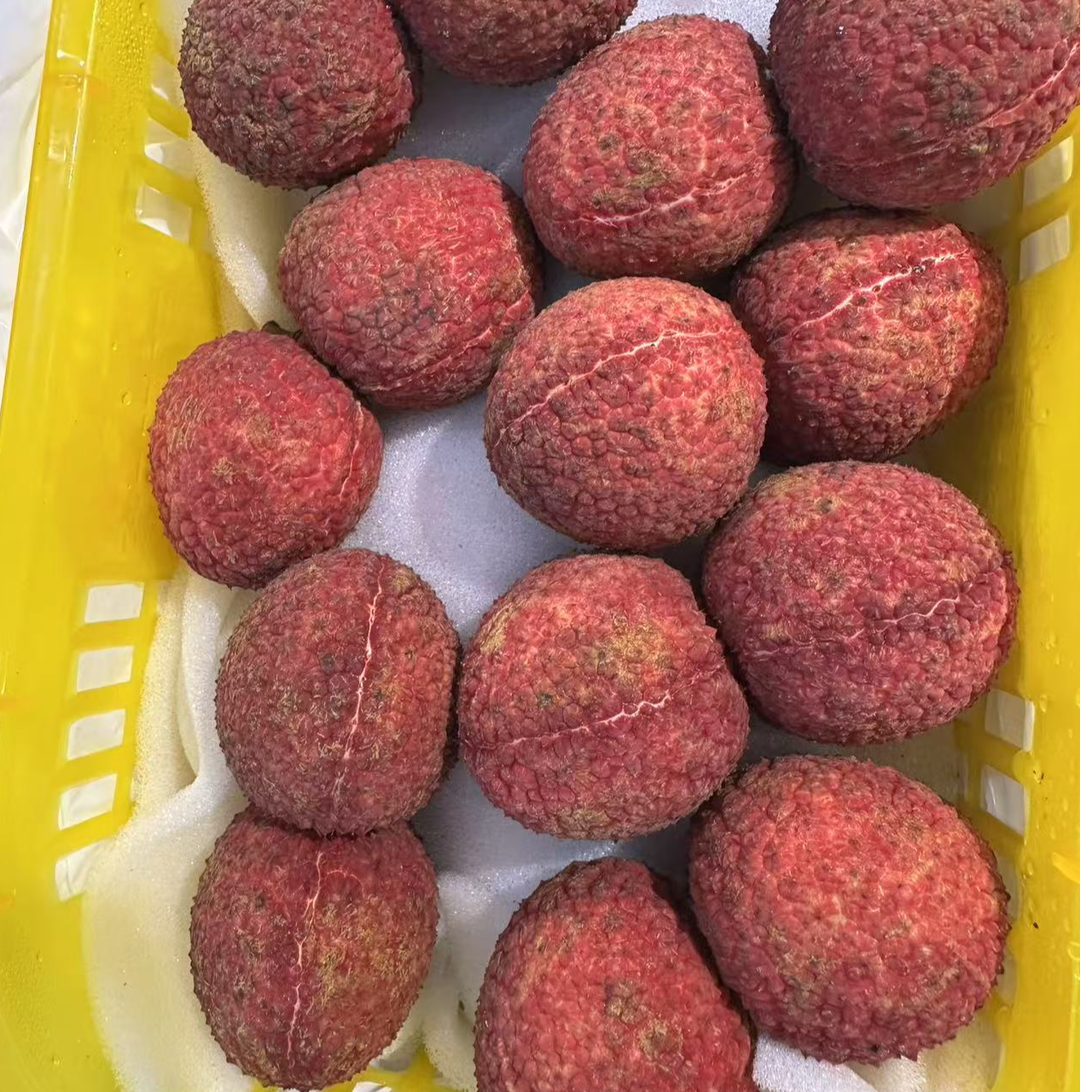 无核荔枝 盒装2.5斤左右海南省