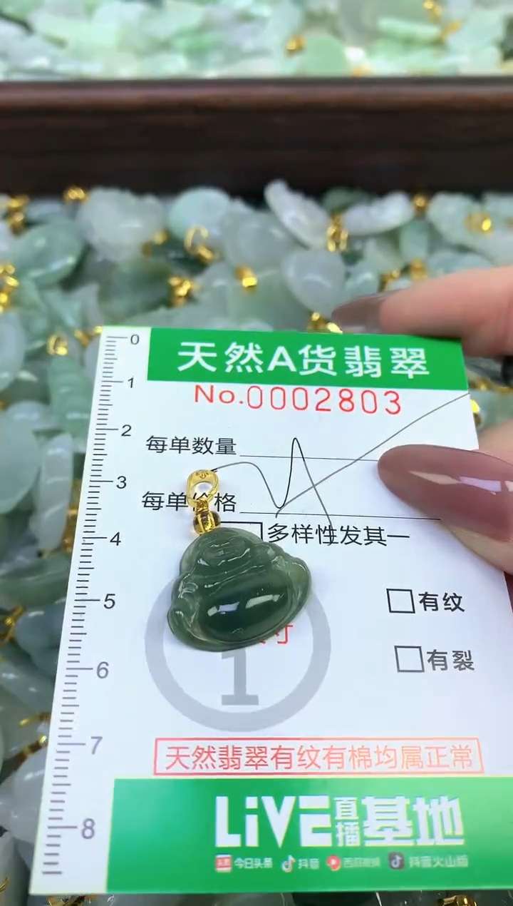 颈饰未镶嵌翡翠纯天然缅甸A货翡翠