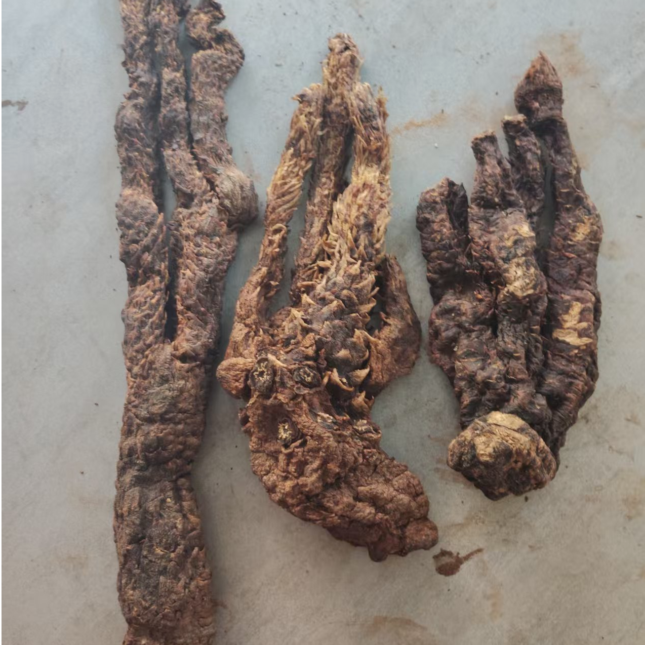 肉，从，容，锁，阳，一物一拍
