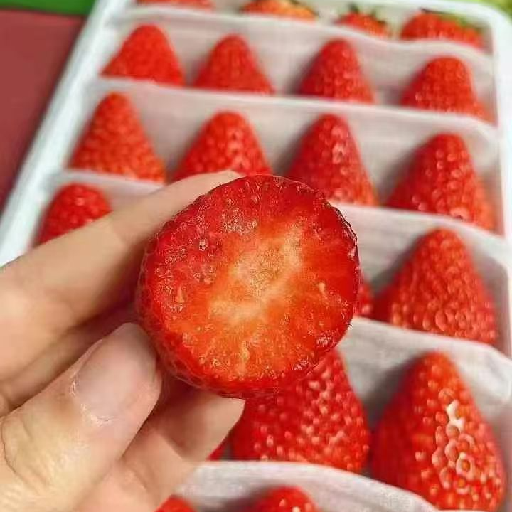 丹东九九奶油草莓镂空版一箱24个净重1.1斤单果17-23克