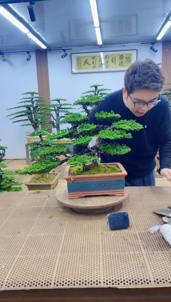 无花朵00000000000000000