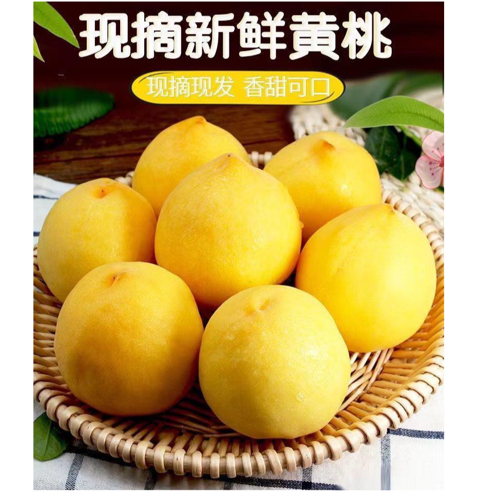 【枣阳 黄桃】头茬陆地黄桃 纯甜无酸现采现摘5斤装 湖北省