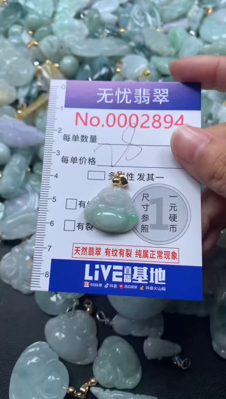 颈饰未镶嵌翡翠2894