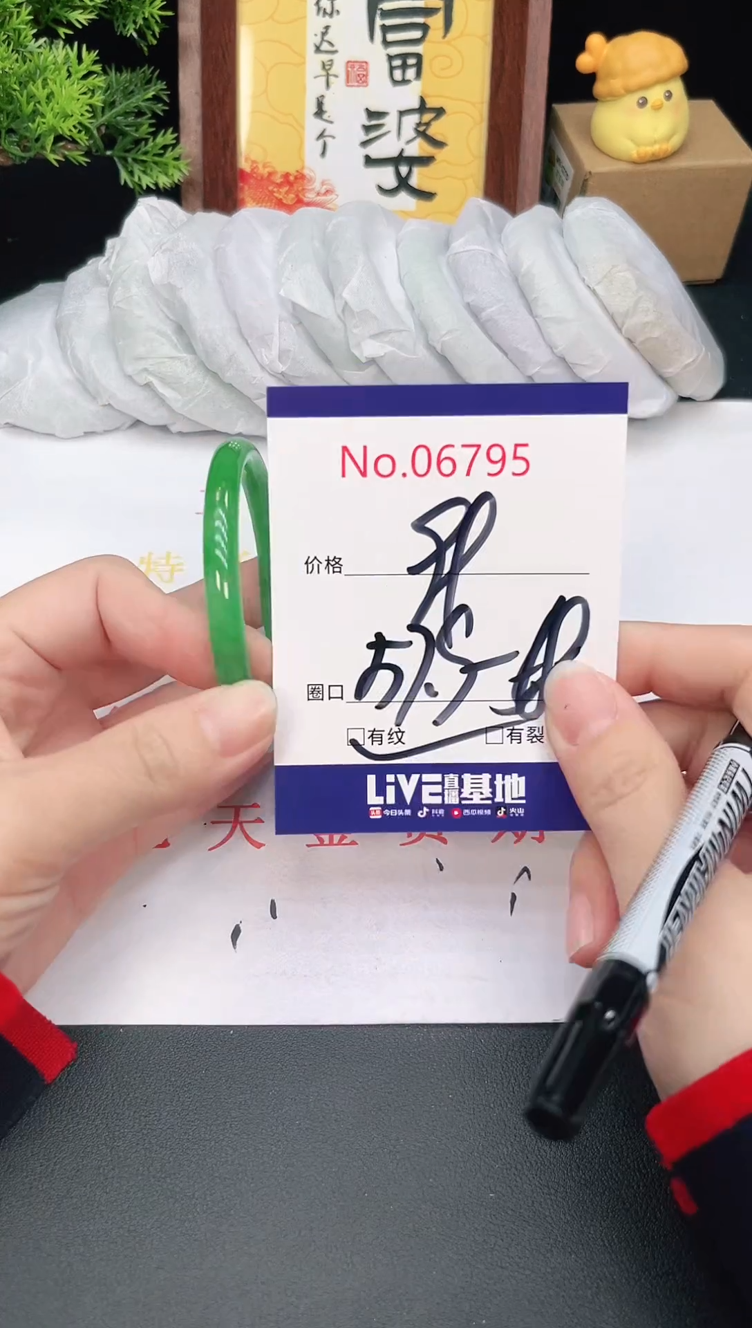 未镶嵌手镯翡翠6795