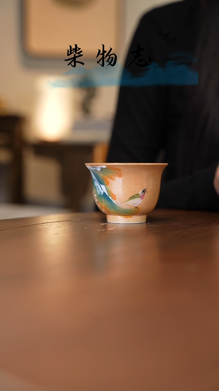 【闪购商品】柴物志原创手绘.............
