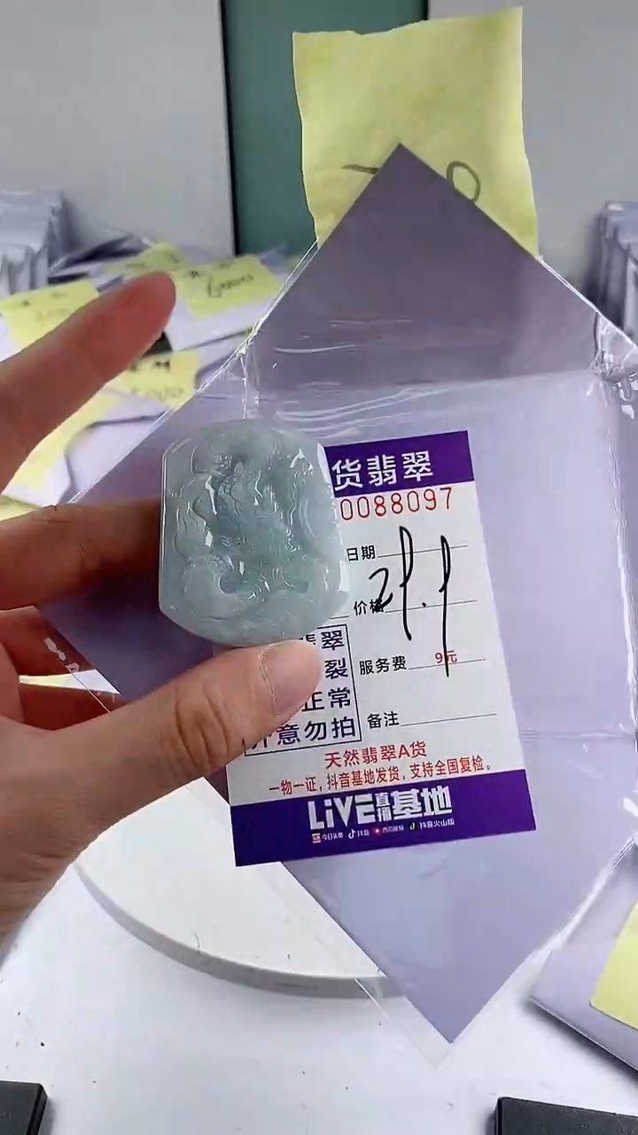 翡翠未镶嵌颈饰              