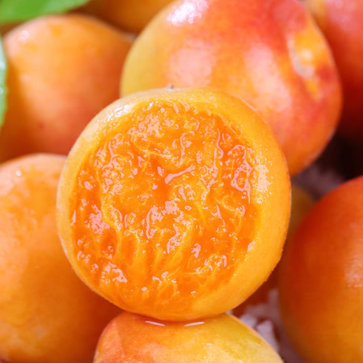 【次日达】新疆空运吊干杏新鲜水果奶皇杏子2.5斤浙江省