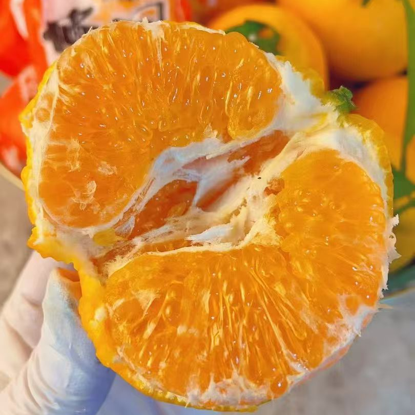 【春见耙耙柑】酸甜可口的感觉，非常值得推荐四川省