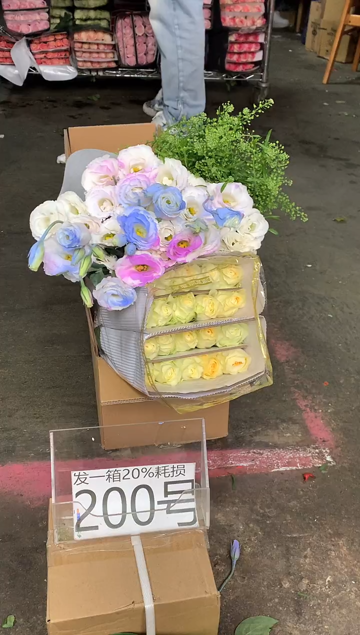 200号♥含20%耗损发一箱