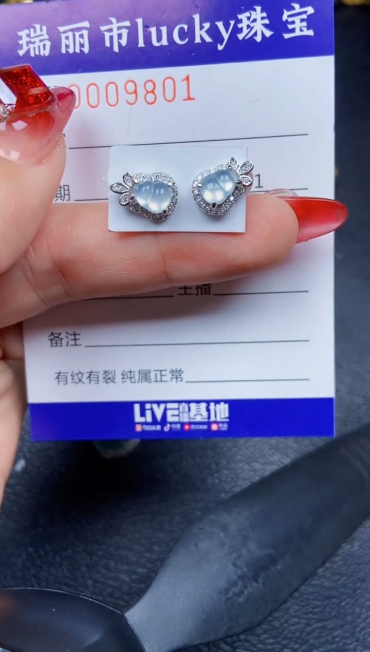 【闪购商品】翡翠颈饰银S925镶嵌9801