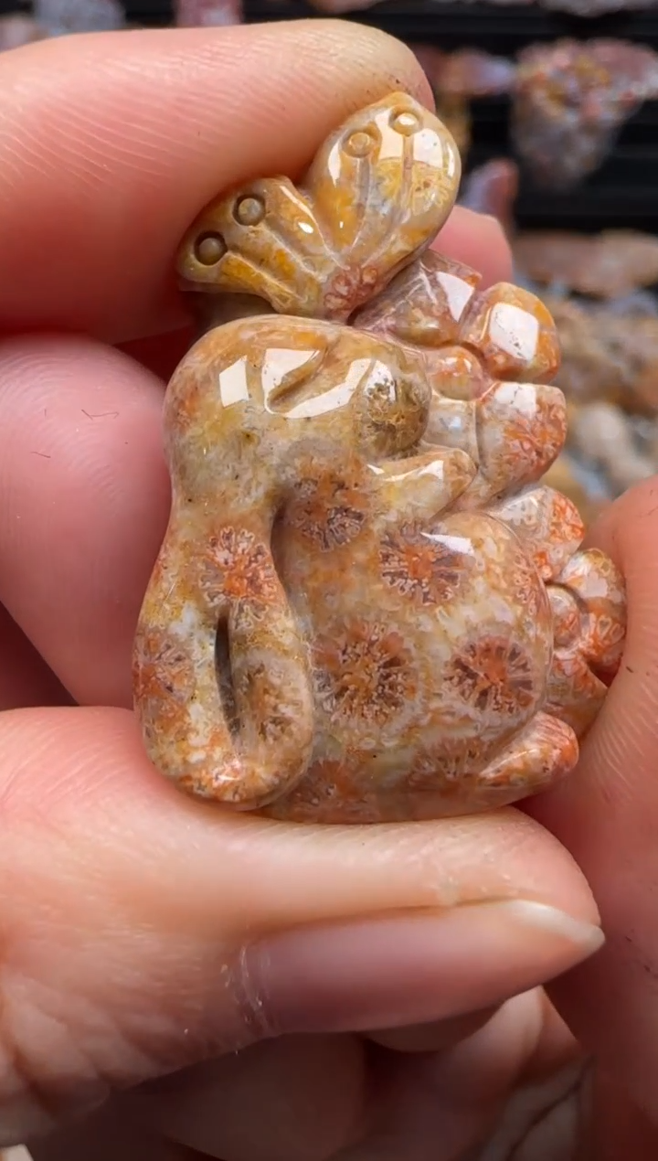 【闪购商品】硅化珊瑚（珊瑚玉）颈饰未镶嵌708