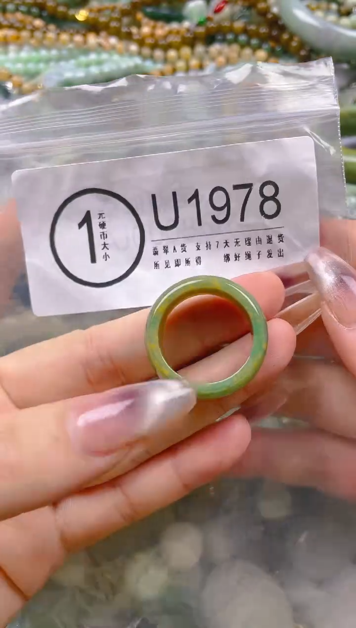 【闪购商品】翡翠颈饰未镶嵌21.5/U/翡翠A货一图一物