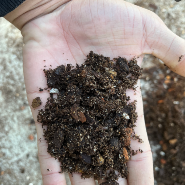 【竹家花卉】精品内门竹基地专用土内门竹营养土