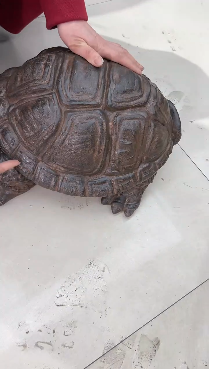 【闪购商品】复合盆y-055