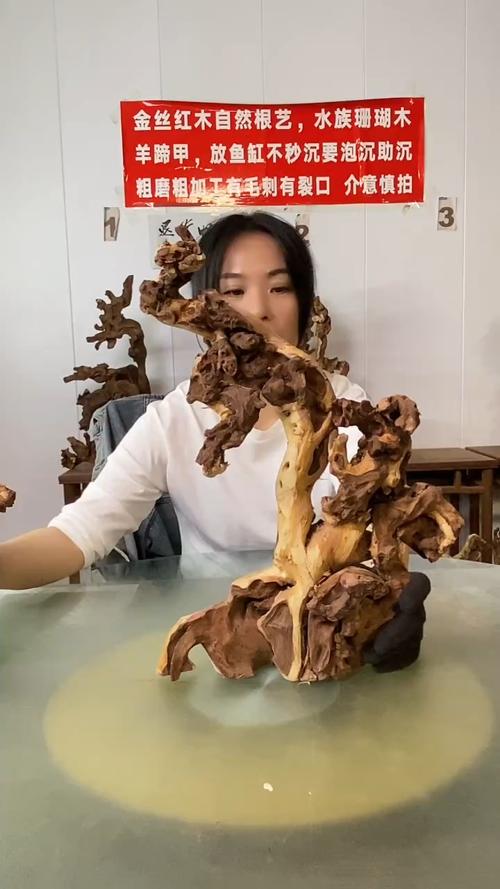 木雅****仓金丝红木 羊蹄甲