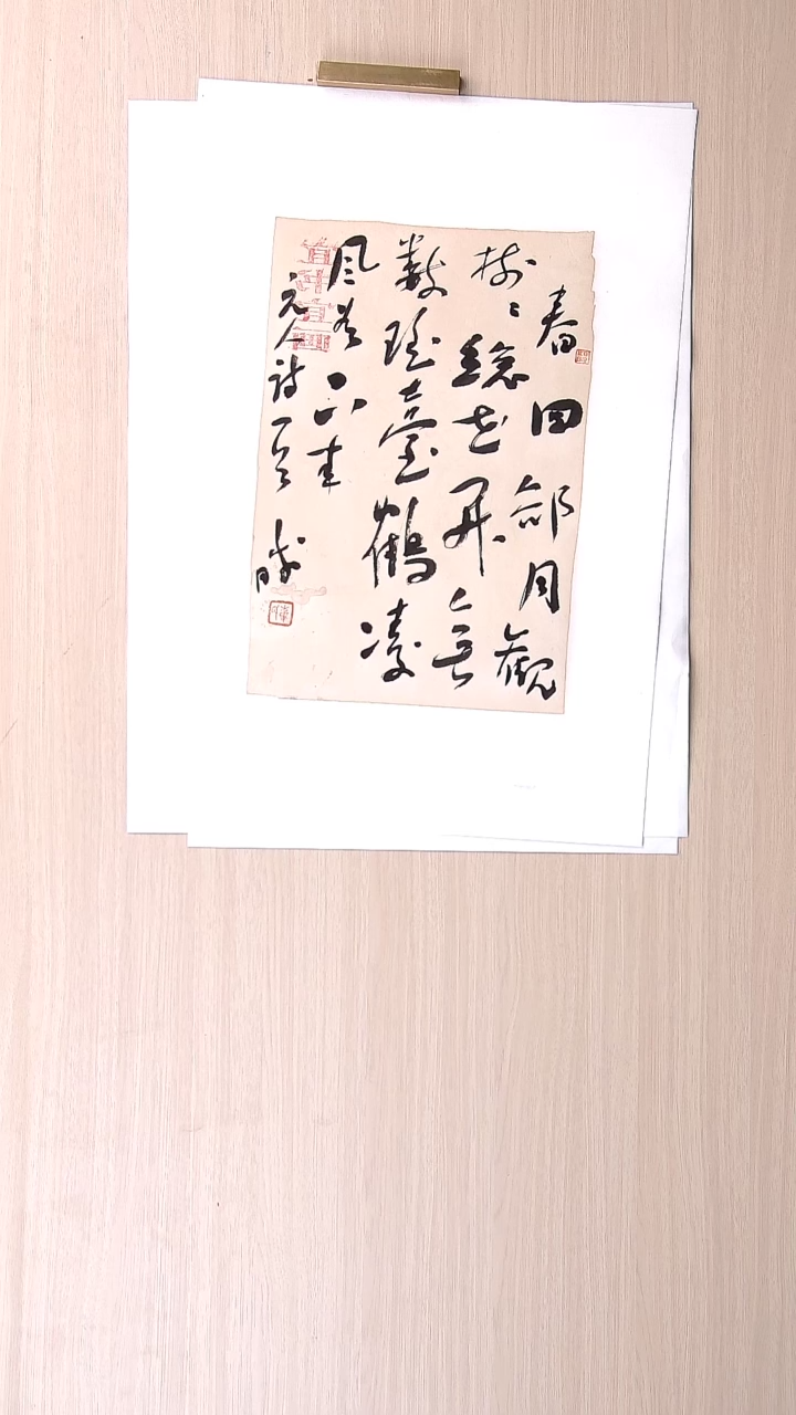 书法崔双胜 甘肃定西36*26