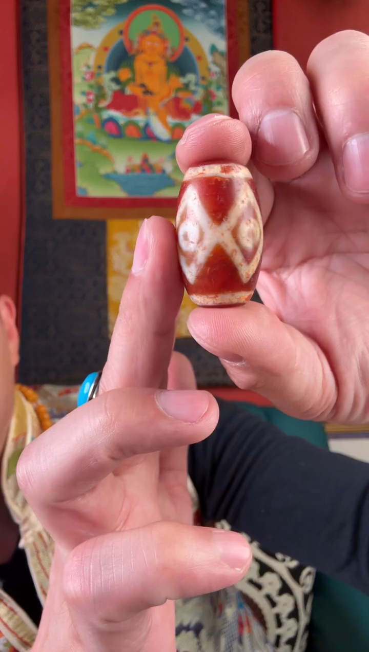 无非金属红肉金刚四眼