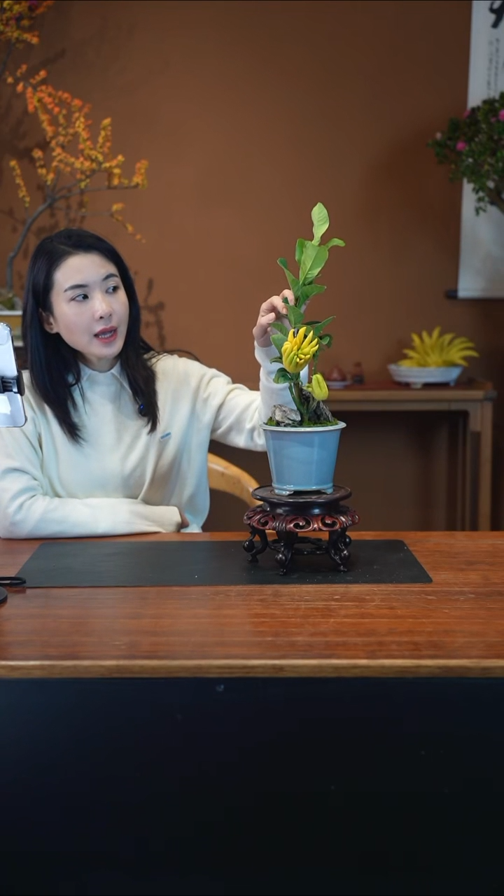 全部花朵佛手盆景盆景盆景