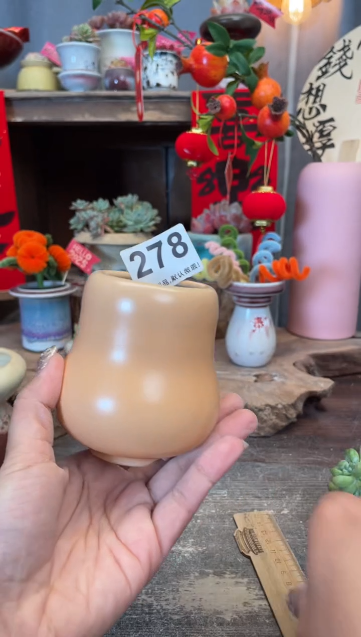 【闪购商品】摆件278知木小芳花盆编号