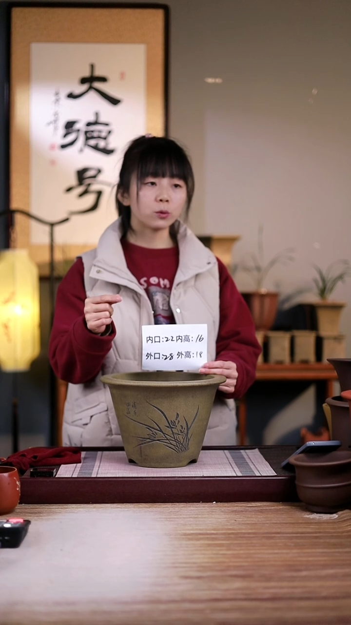 紫砂花盆龙骨青砂刻绘兰花大斗笠一只无托