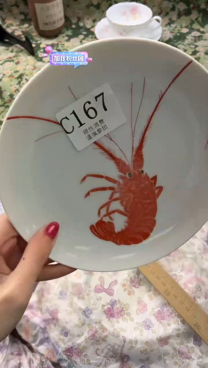 瓷片豆*       C167