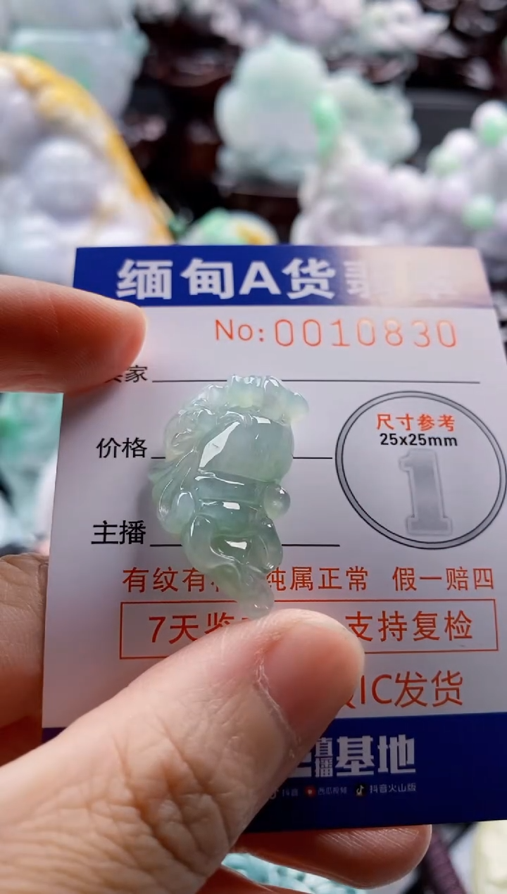 翡翠未镶嵌吊坠(不含链)大*1
