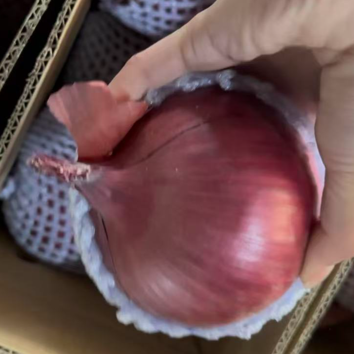 大西北紫皮洋葱生吃脆甜多汁