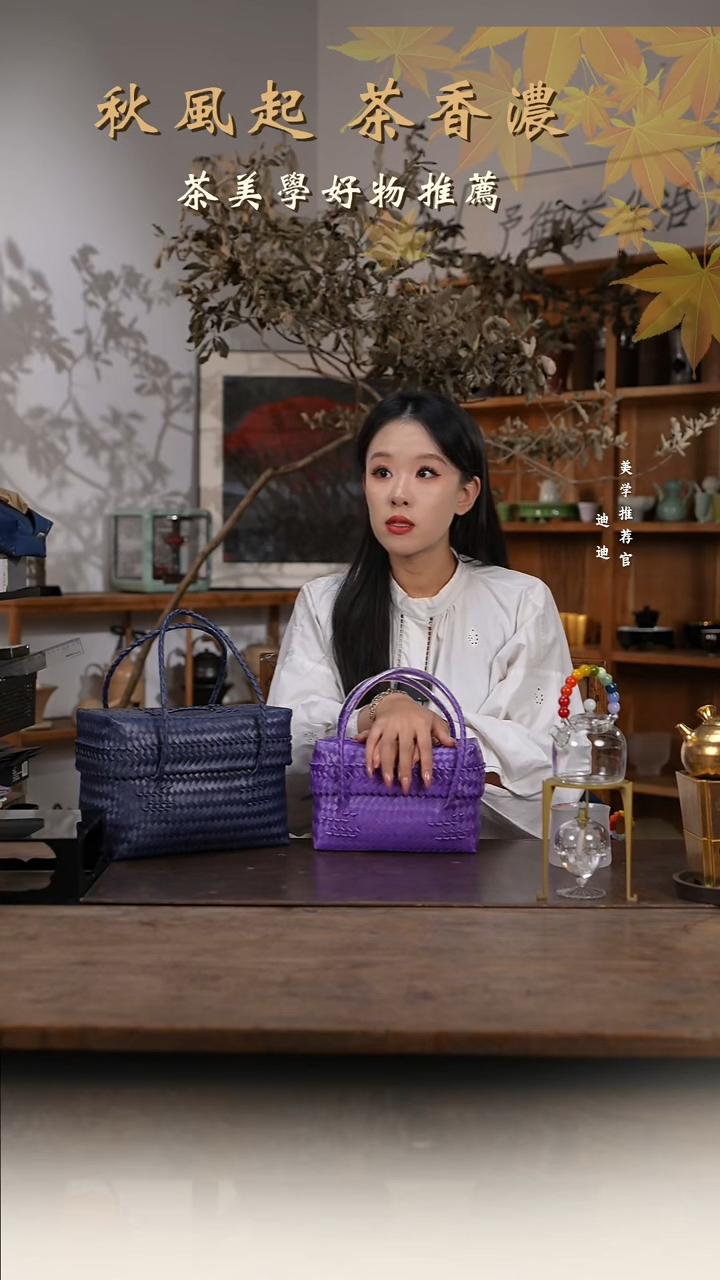 瑞**～新款提篮 mini 藏蓝色 原价980 